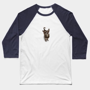 The Chihuahua Baseball T-Shirt